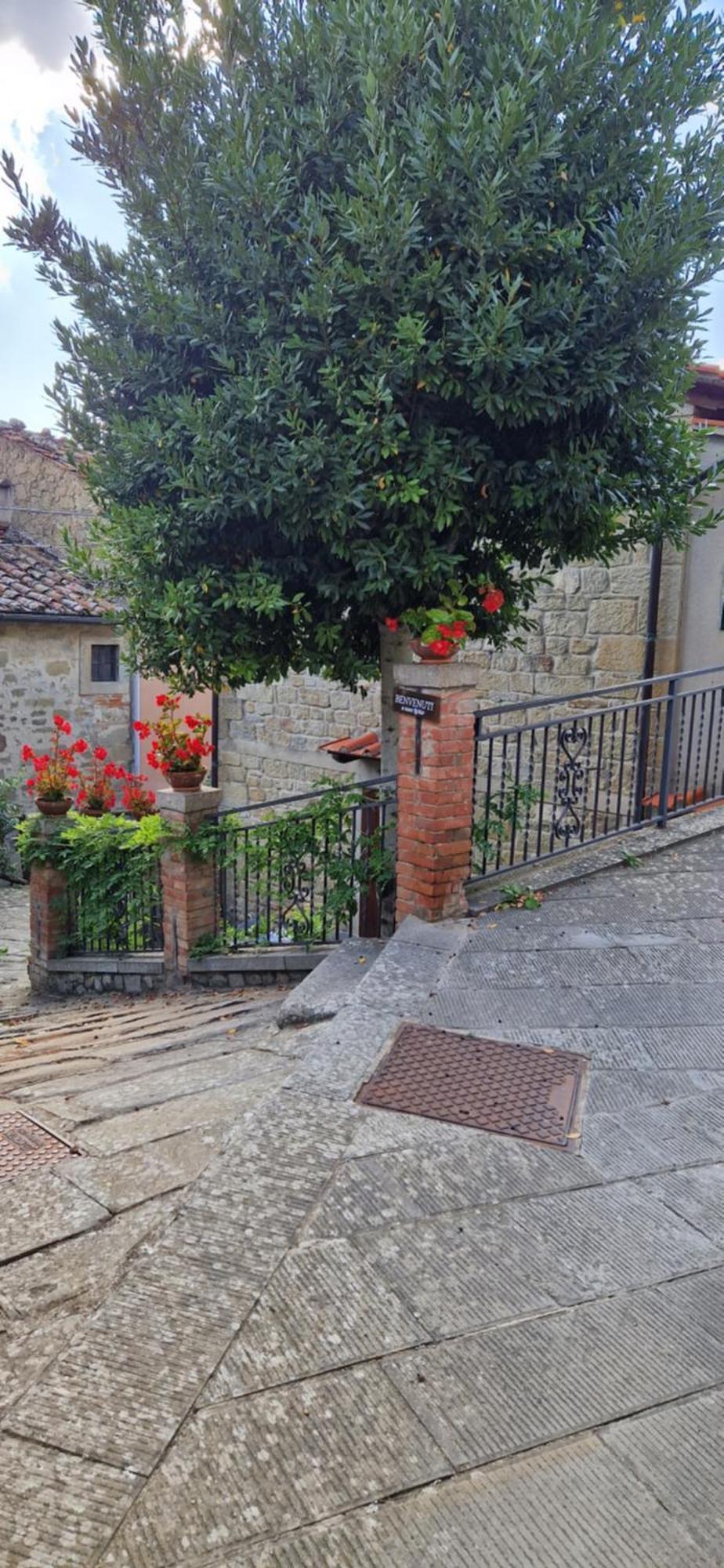 Villa Casa Lichio Stia Esterno foto